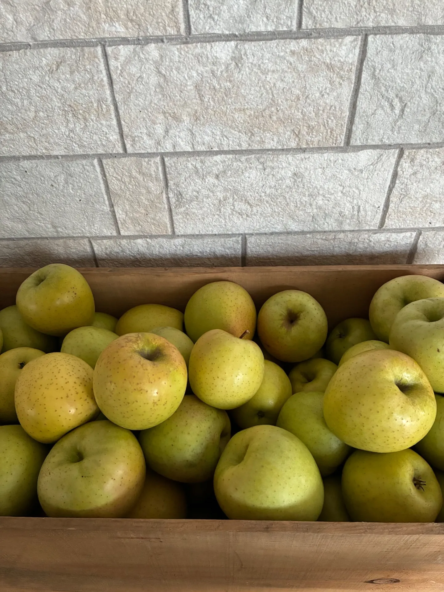 寒くなりました。